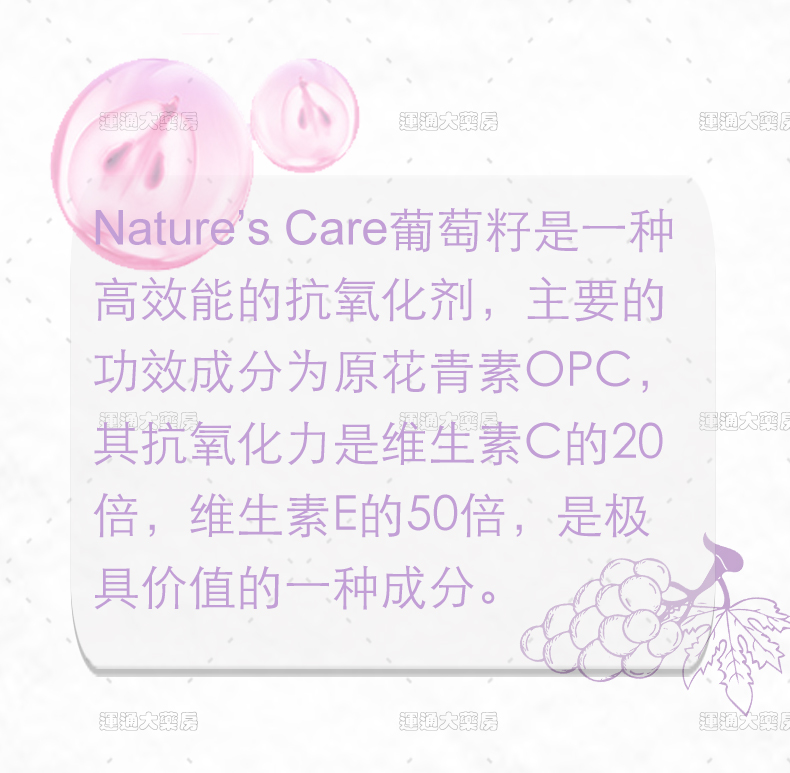 葡萄籽浓缩胶囊300s_02.jpg